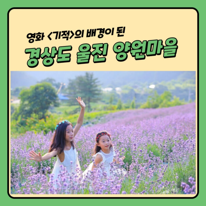카드뉴스3