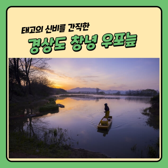 카드뉴스4