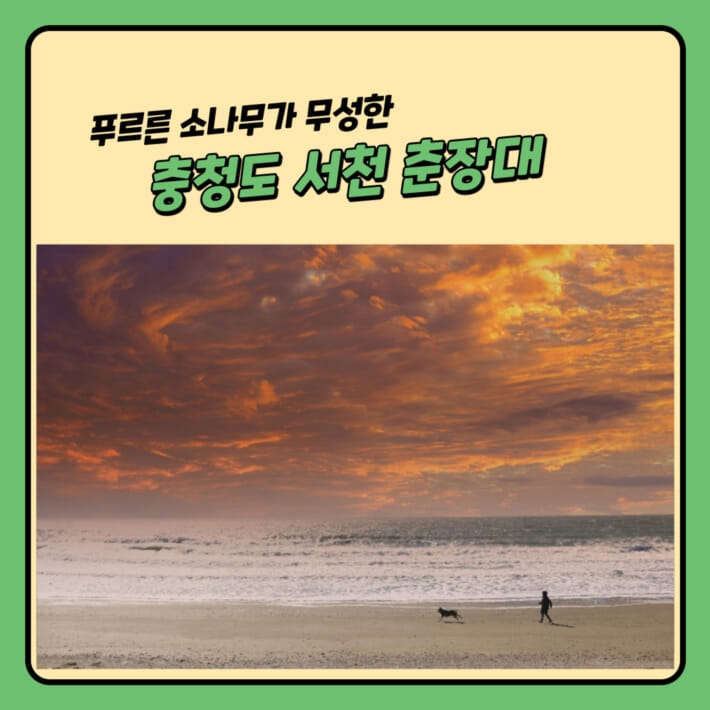 카드뉴스6