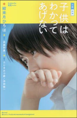 小說 映畵 子供はわかってあげない