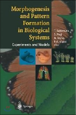 Morphogenesis and Pattern Formation in Biological Systems: Experiments and Models