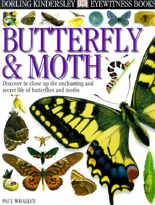 DK Eyewitness Books : Butterfly and Moth