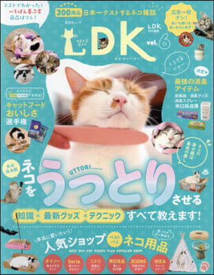 ネコDK   6