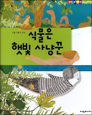 식물은 햇빛 사냥꾼