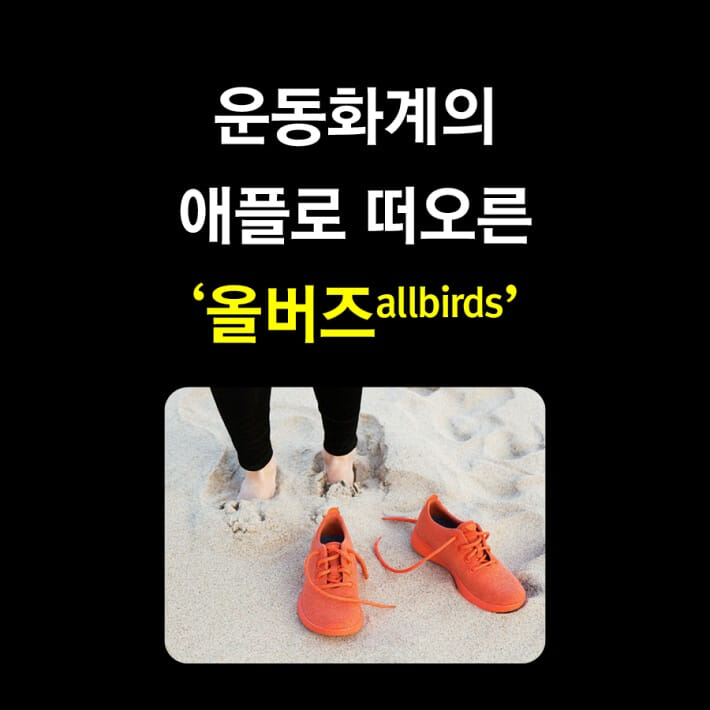 카드뉴스3