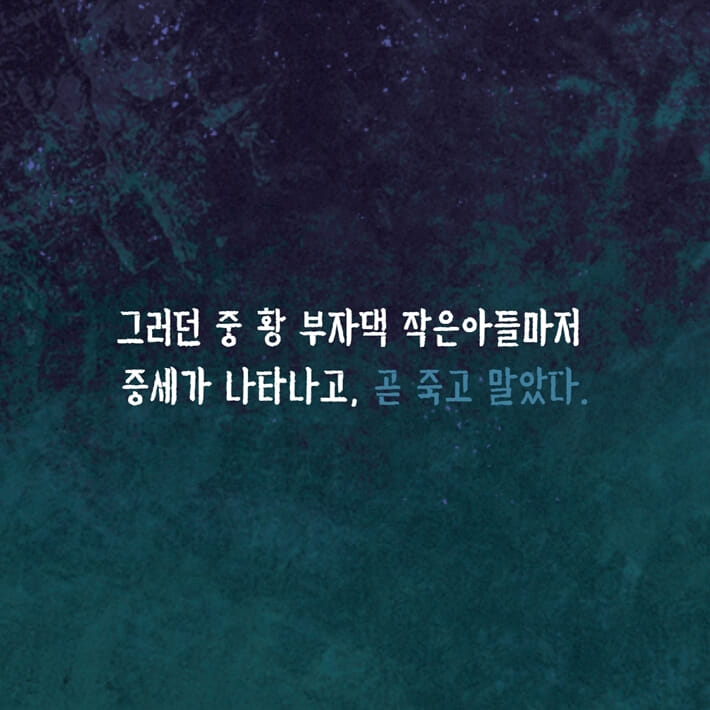 카드뉴스5