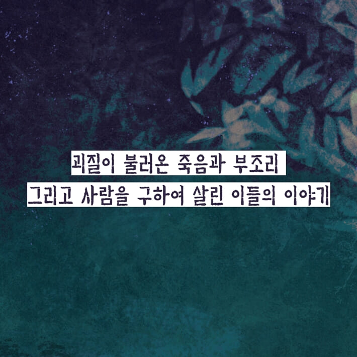카드뉴스9