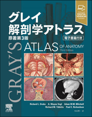 グレイ解剖學アトラス 原著第3版