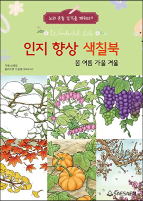 인지 향상 색칠북-봄 여름 가을 겨울