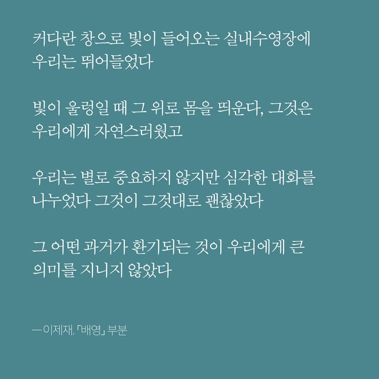카드뉴스4