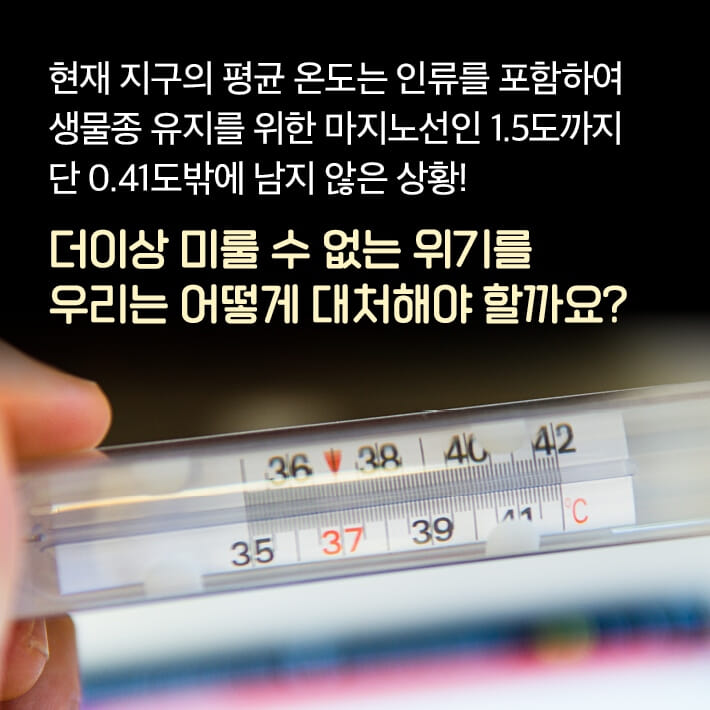 카드뉴스5