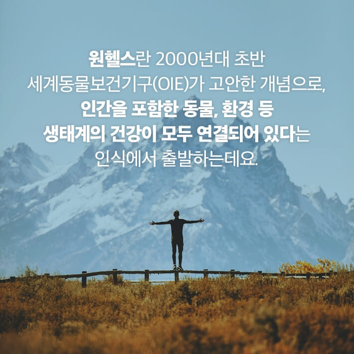 카드뉴스7