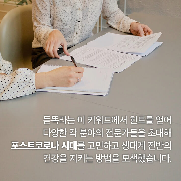 카드뉴스8