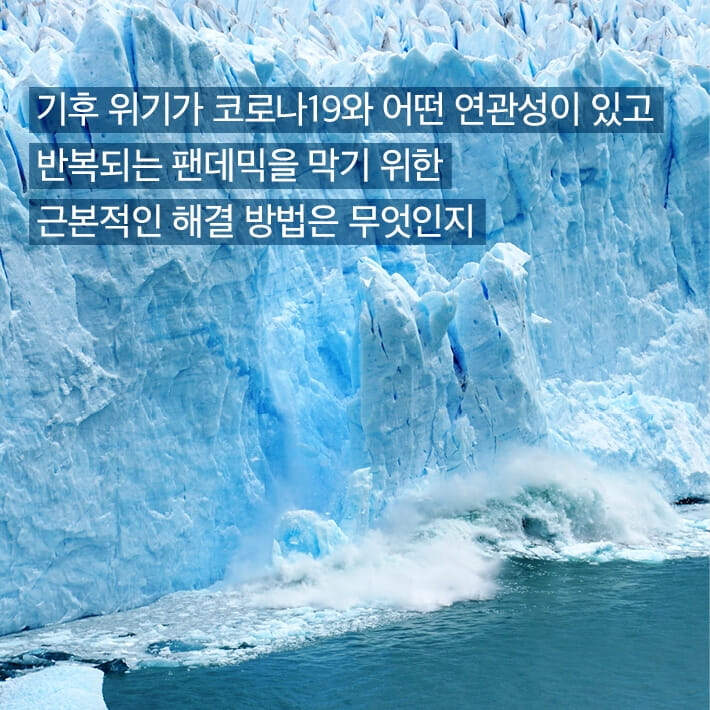 카드뉴스9