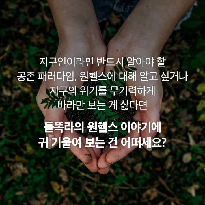 카드뉴스12