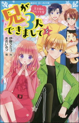 兄が3人できまして(5)王子樣のなんでも屋 