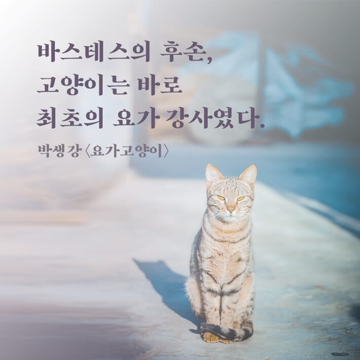 카드뉴스5