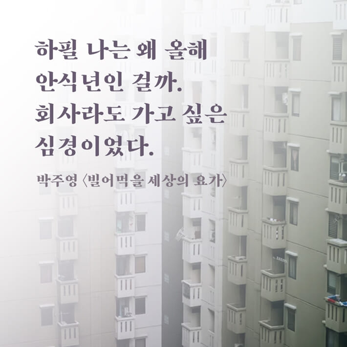 카드뉴스6