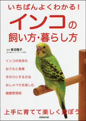 インコの飼い方.暮らし方