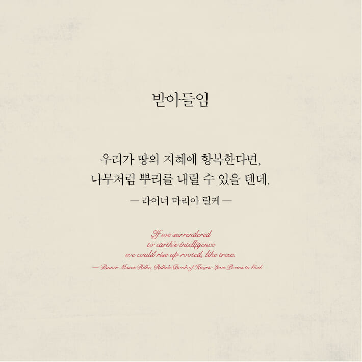 카드뉴스16