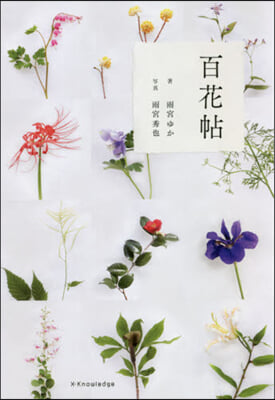 百花帖