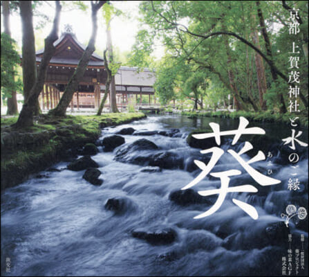 京都 上賀茂神社と水のご緣 葵