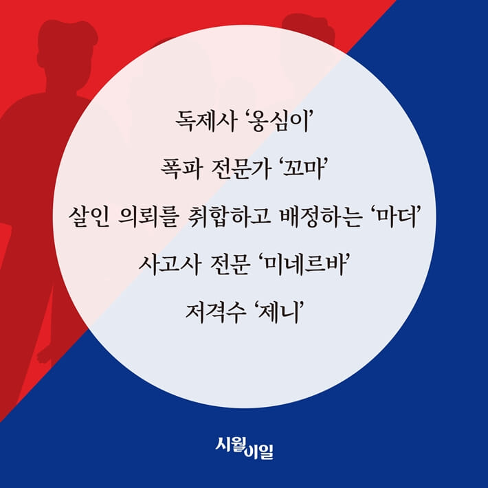 카드뉴스5