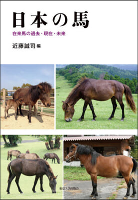 日本の馬