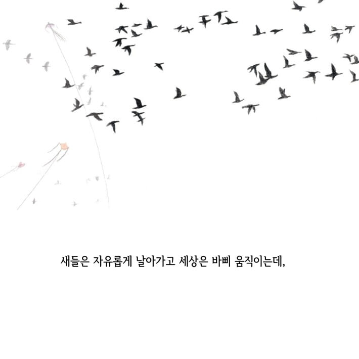 카드뉴스6