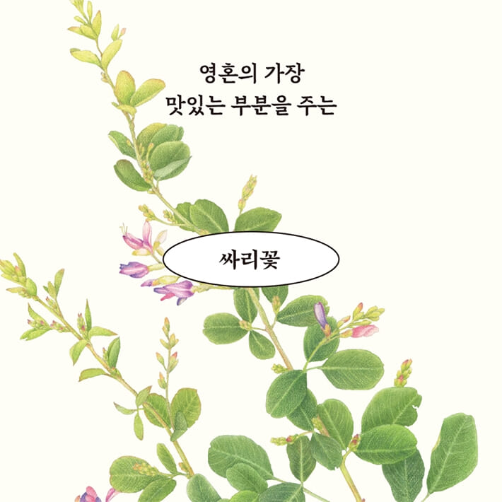 카드뉴스2