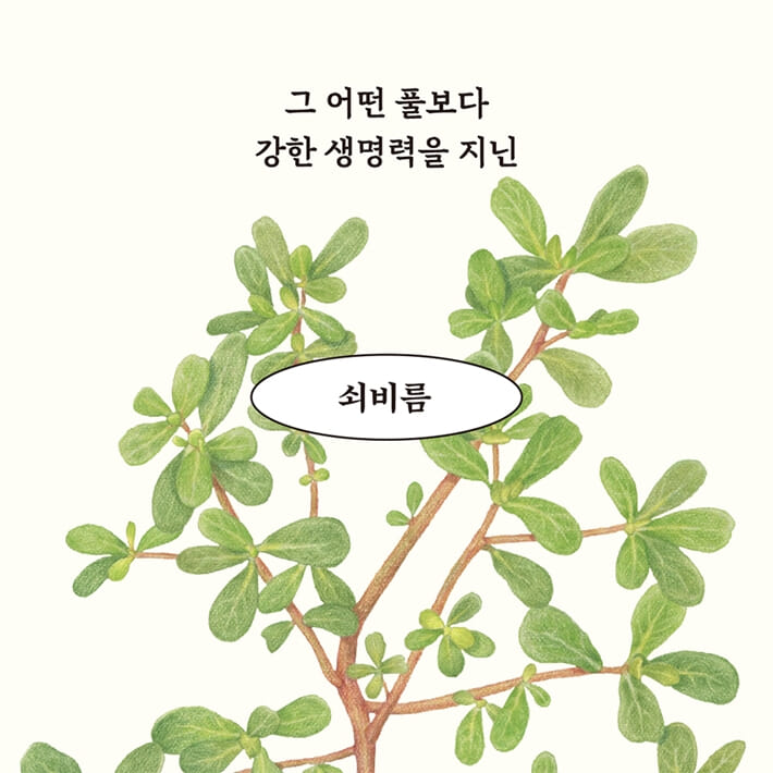 카드뉴스3