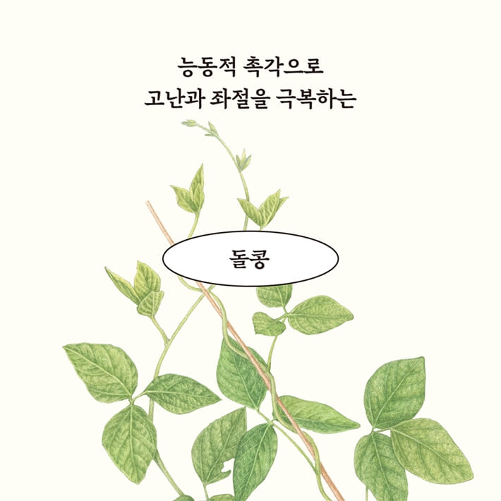 카드뉴스4