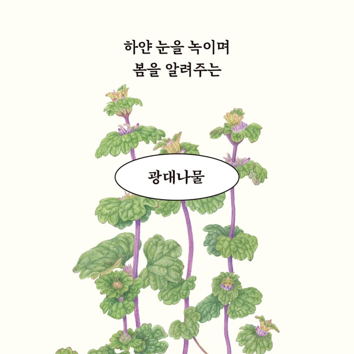 카드뉴스5