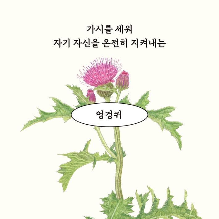 카드뉴스6
