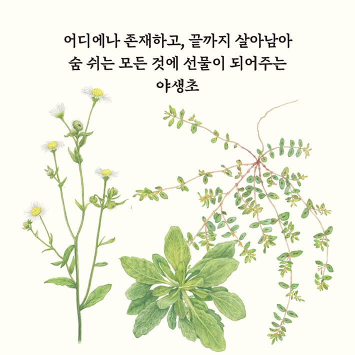 카드뉴스7