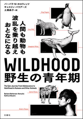 WILDHOOD 野生の靑年期