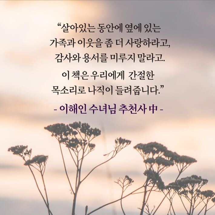 카드뉴스