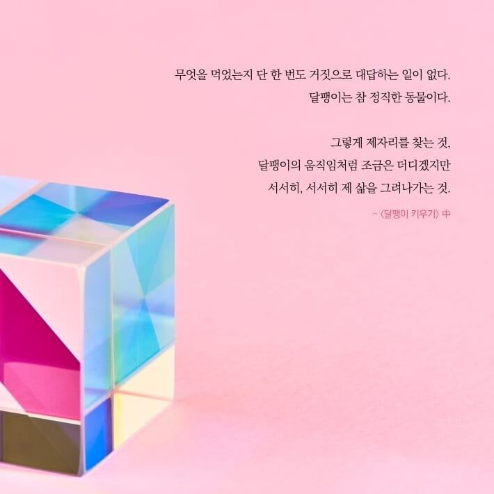 카드뉴스4