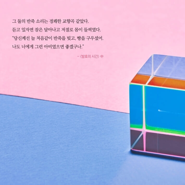 카드뉴스5