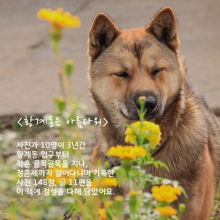 카드뉴스5