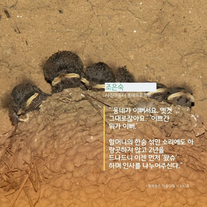 카드뉴스11