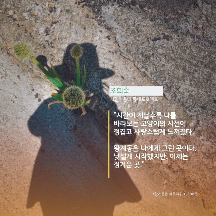 카드뉴스12
