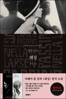 패싱(Passing)(세계문학전집 199)(반양장)