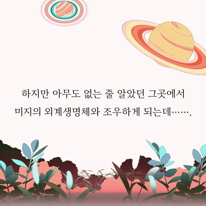 카드뉴스4