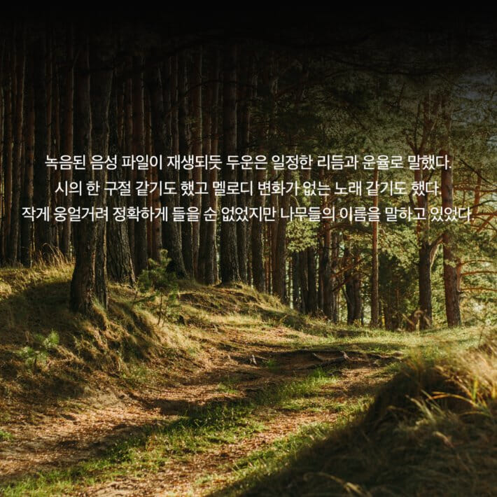 카드뉴스8