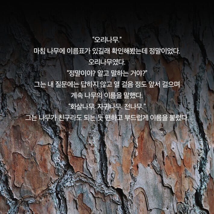 카드뉴스9