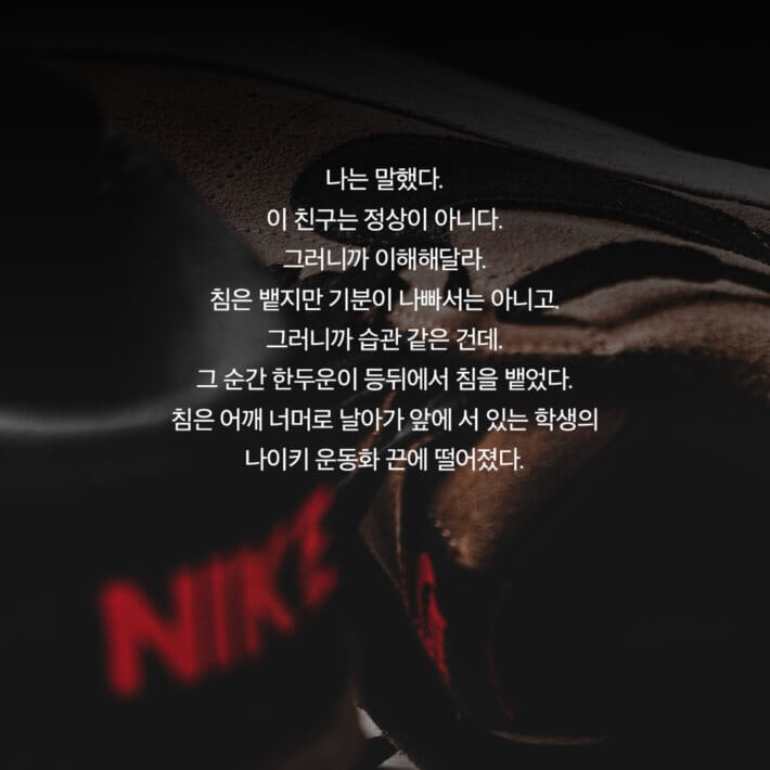 카드뉴스19
