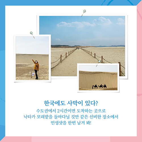 카드뉴스3