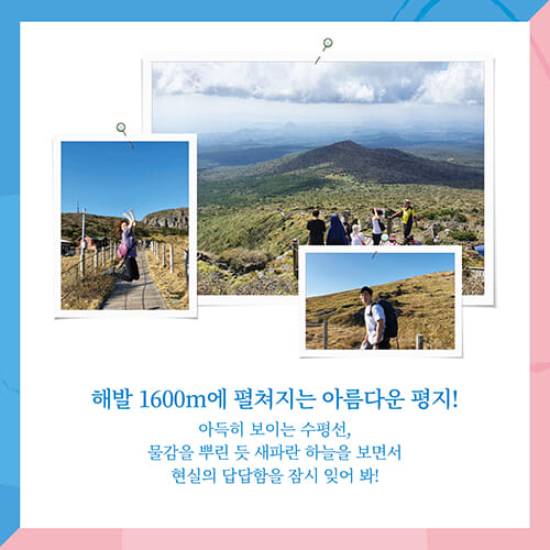 카드뉴스7