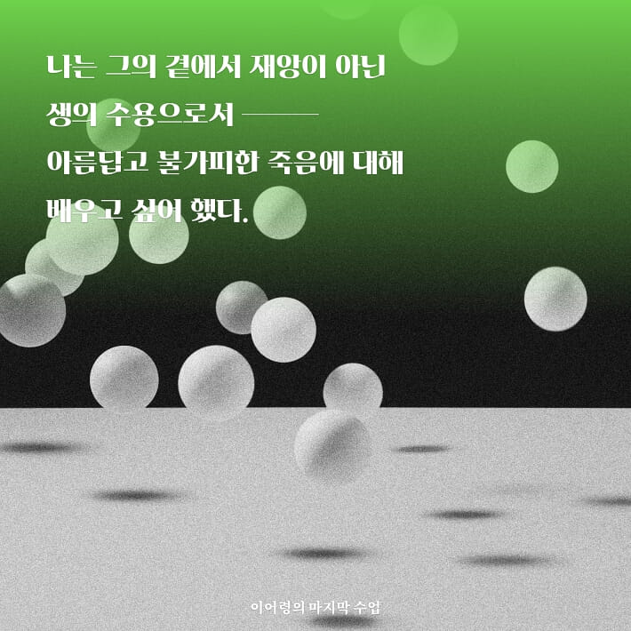 카드뉴스5